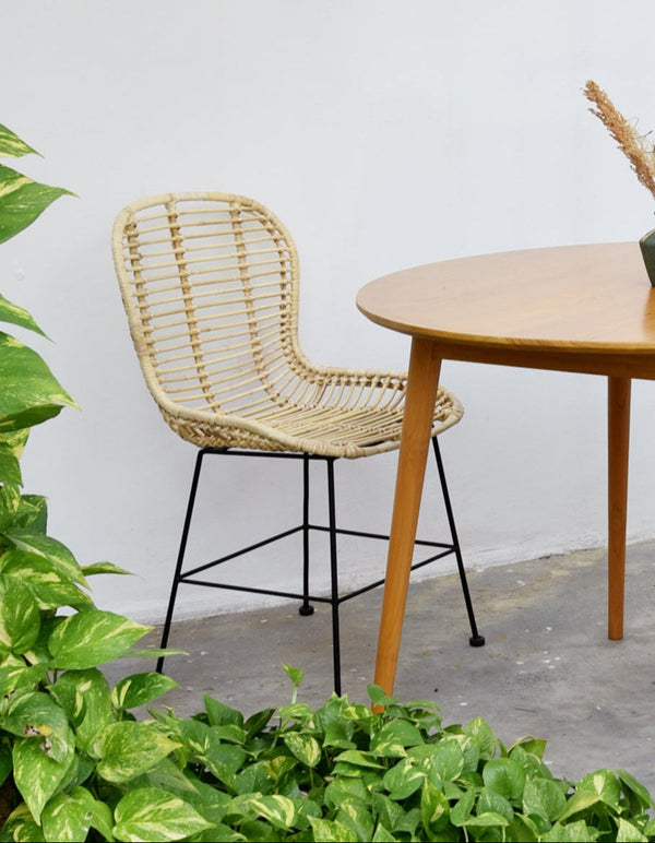 BORONG - Lot de 2 chaises de salle à manger design boheme en rotin naturel